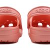 Crocs (WMNS) Classic Clog Outdoor Beach Sports Tofflor Rosa 10001-737